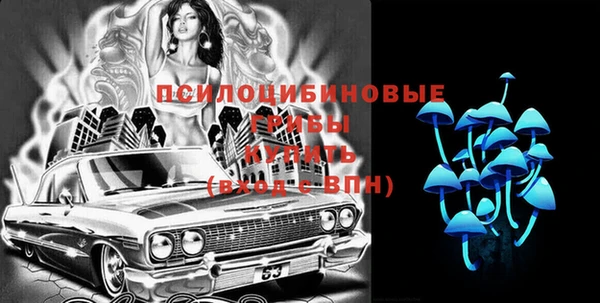 ешки Аркадак