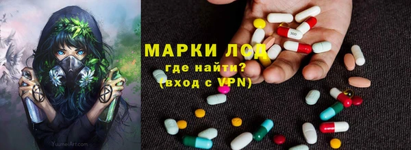 ешки Аркадак